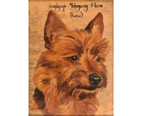 ENGLISH SCHOOL, EARLY 20TH CENTURY 'Jinglejoys Mahogany Flame (Susie)'. Portrait study of a Longhaired Terrier, oil on panel,