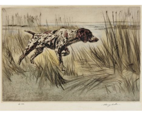AFTER HENRY WILKINSON  a Pointer amongst rushes, limited edition colour print, no. 45/150, signed and numbered in pencil on t