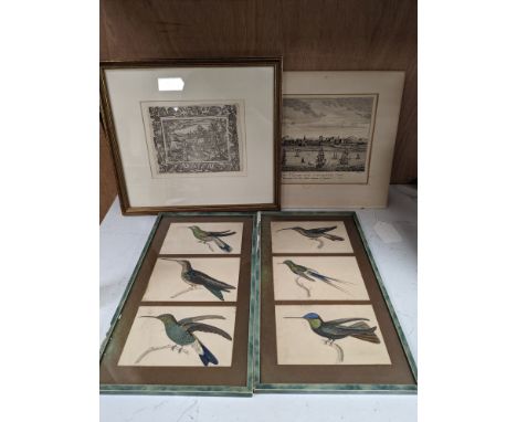 An early framed print, a Coromandel Coast print and two bird prints