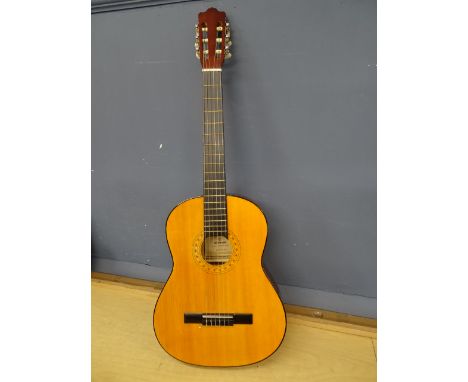 Hohner acoustic guitar in case&nbsp;