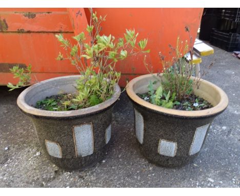 Pair of ceramic garden pots with contents H33cm approx&nbsp;