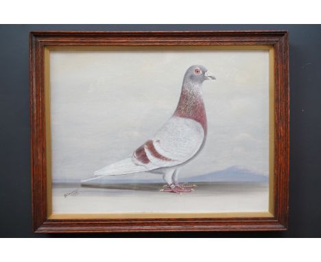 J*** Browne (19th Century) A portrait of a racing pigeon, oil on canvas board, signed and dated 1928, framed under gilt slip 