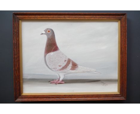 J*** Browne (19th Century) A portrait of a racing pigeon, oil on canvas board, signed and dated 1928, framed under gilt slip 