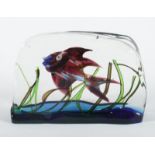 Aquarium, Glas, Murano