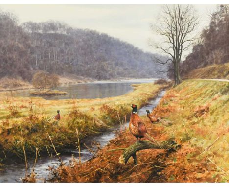 § Rodger McPhail (b.1953-) Pheasants on the banks of River Tay, Scotlandsigned lower right 'R. McPhail'watercolour on paper46