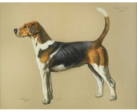 Cecil Charles Windsor Aldin (1870-1935) Cynthia - a foxhoundsigned lower left 'Cecil Aldin', inscribed with the dog's name an