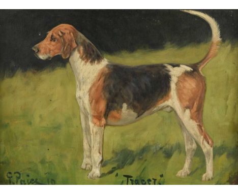 George Paice (1854-1925) Portrait of Tracer, a foxhoundsigned and dated lower left 'G. Paice 10', inscribed with the dog's na