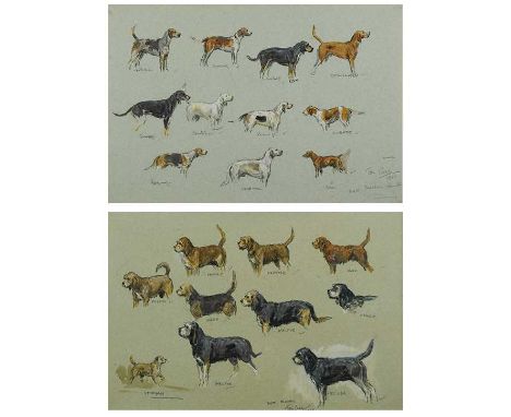 § Tom Carr (1912-1977) Studies of hounds; and Studies of terriersthe first signed and dated lower right 'Tom Carr / 1969', th