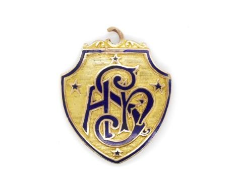 Austrialian 9ct yellow gold enamel medal by Bridgland &amp; King 358 Po place W 9ct. Approx weight 4.8 grams. Damage to ename