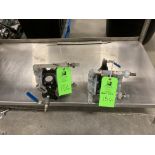LOT OF 2 Ingersoll Rand air pumps, model PDD3P-APS-P