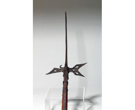Western Europe, 15th to 16th century CE. This is a very large halberd that stands over 10 feet tall with its original wood po