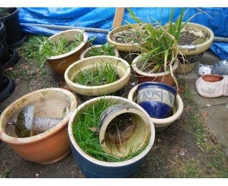 A large quantity of ceramic planters, COLLECT ONLY.