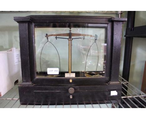 A cased set of chemical scales, with weights
