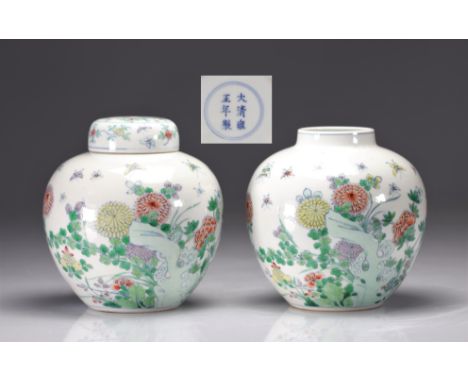 (2) Rare pair of Chinese "doucai" polychrome enamel vases decorated with flowers and butterflies from the Yongzheng period (1