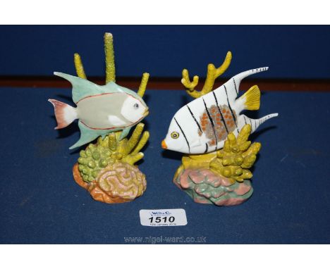 A Royal Worcester Spade fish figure and a Royal Worcester Blue Angel fish figure, both modelled by R. Van. Ruyckevelt; some c