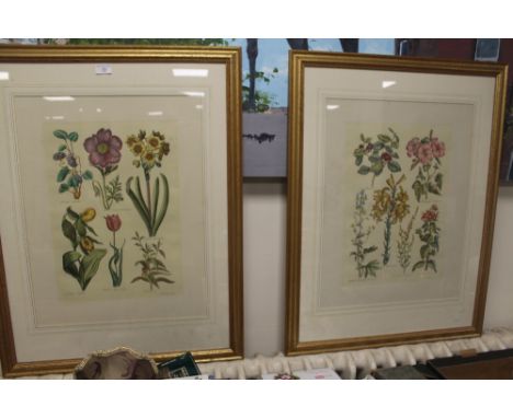 A PAIR OF MODERN FRAMED AND GLAZED BOTANICAL PRINTS