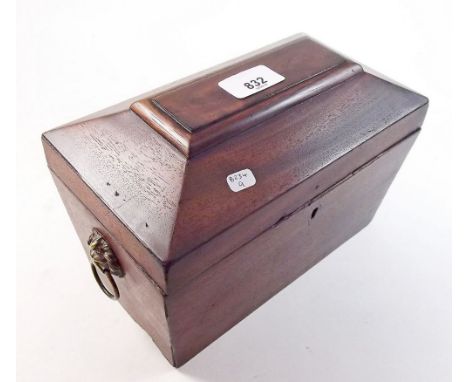 A 19th century mahogany tea caddy with brass lion mask handles - 23cm wide