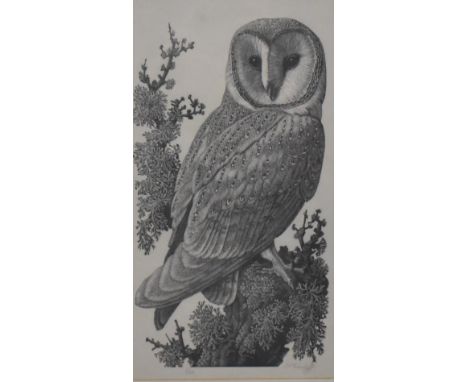 After Charles Frederick Tunnicliffe (1901-1979, British), wood-engraving, 'No.5 Barn Owl', signed to the lower right, limited