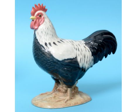 A Beswick Sussex Cockerel, 1899, gloss  See inside front cover colour illustration