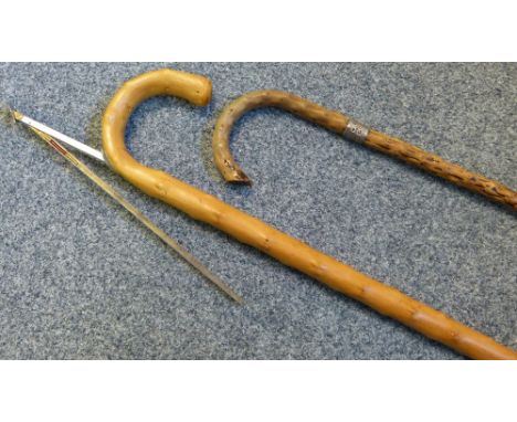 A walking stick incorporating a horse measure together with a walking stick with silver sleeve (2)