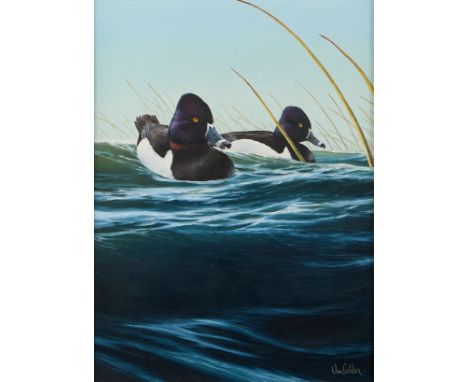 Ron Van Gilder (American, b. 1946). Oil on canvas painting depicting two ducks swimming through the water. Signed along the l