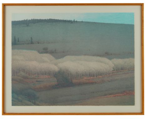 Russell Chatham (American, 1939-2019). Lithograph titled "Montana Suite: Boulder Valley Fall," depicting a grove of trees at 