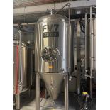 Stout 20 BBL Stainless Steel Fermentation Tank - Cone Bottom, Glycol Jacketed, Mand | Rig Fee $1000