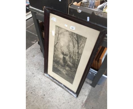 An old print of a stag