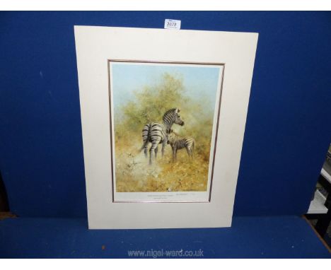 A David Shepherd signed print of a Zebra mother and foal.