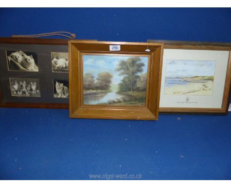 A framed Print, Dornoch, Scotland (HRH Prince of Wales), a framed Oil on canvas of river scene and framed photographs of cats