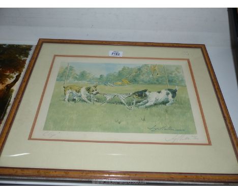 A framed and mounted Joy Hawker limited edition print of Two terriers playing with a piece of clothing.