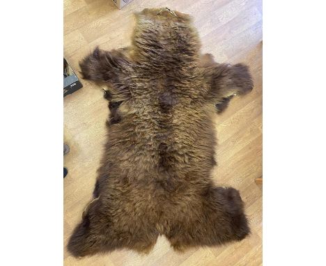 Vintage Genuine Grizzly Bear Skin Hunters Pelt, can also double as a rug. Unmounted,  2mtr x 1.45mtr. 