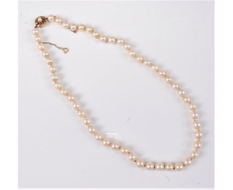 A cultured pearl necklace, the uniform cultured pearls approx. 7.8mm, with cultured pearl set clasp, stamped '9.375', with sa