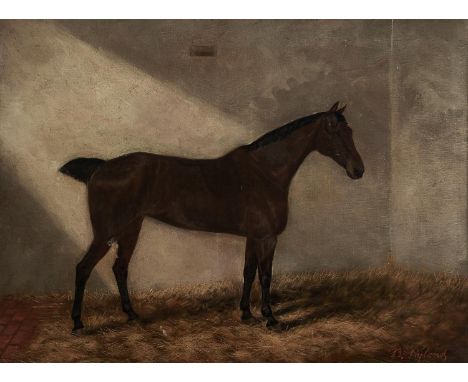 BENEDICT A HYLAND, FL LATE 19TH CENTURY - PORTRAIT OF A HORSE IN A LOOSE BOX, SIGNED (IN RED), OIL ON CANVAS, 49 X 64.5CM Con