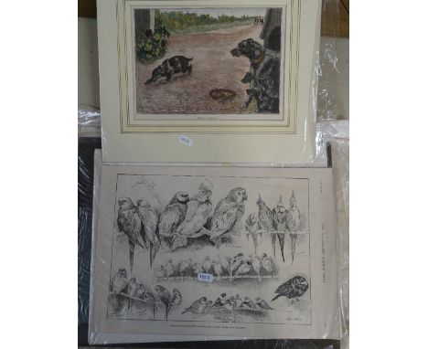 A collection of Louis Wain prints 