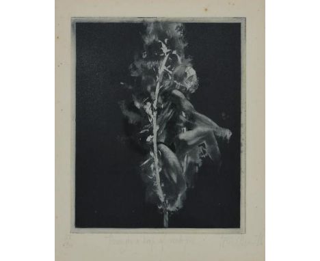 T. A. Wilson, Through a Hoop of Real Fire, pencil signed limited edition print, framed, signed and dated. H.37 W.31cm
