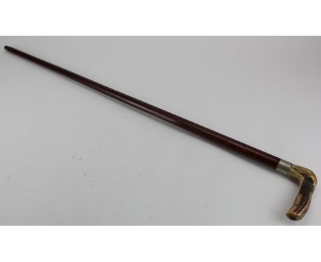 Horn handle sword stick, with blue steel blade with gilt decoration, total length 91cm approx.