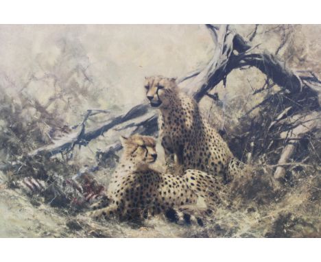 A print on board painting by David Shepherd depicting two leopards resting in savanna. Measures:48cms x 73cms.