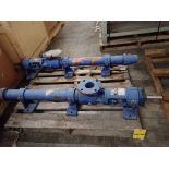 Lot of (2) Coastal/Flowtech Progressing Cavity Pumps
