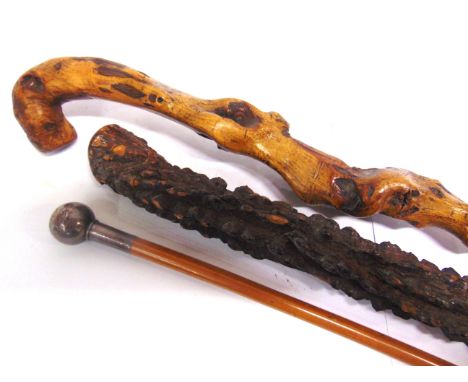 TWO ROOTWOOD OR SIMILAR WALKING STICKS  96.5cm and 92.5cm long; together with an Indian Army Ordnance Corps swagger stick, 69