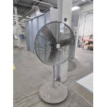 Pedestal Fan