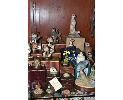 A COLLECTION OF BOXED 'COUNTRY ARTISTS' AND BORDER FINE ARTS BIRD AND ANIMAL FIGURINES, TOGETHER WITH SIMILAR UNBOXED ANIMAL 