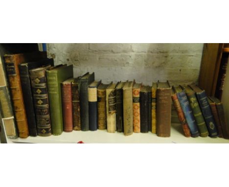 A Shelf of 19th century books