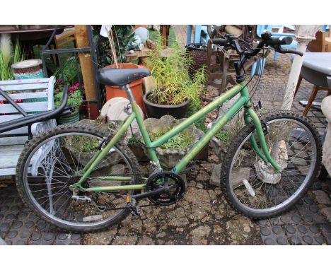 raleigh nova women's mountain bike