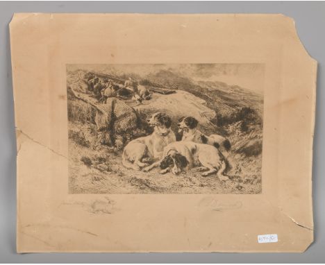 After Ebenezer Newman Downard (1829-1894) unframed etching, gun dogs at rest, with London proof stamp, signed in pencil.