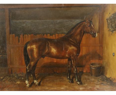 K. M. Nadler (20th. C), oil on board, Study of a bay horse in a stable, signed, 31 x 40cm, unframed