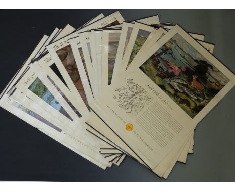 Vintage Shell posters including wildlife, region specific etc, each 75 x 51cm