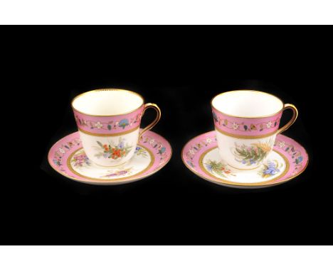 A pair of Victorian Royal Worcester porcelain pink ground botanical teacups,  date letters for 1878-80, with matching saucers