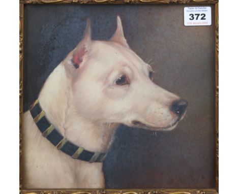 Circle of Alfred Wheeler (British, 1851-1932) Portrait of an English White Terrier oil on board, unsigned 8½ x 8½in. (21.6 x 