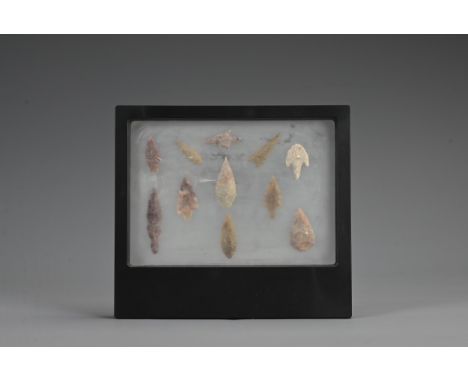 A GROUP OF NEOLITHIC STONE AGE FLINT ARROW HEADS. Eleven in total of various forms. With a protective display case. Arrowhead